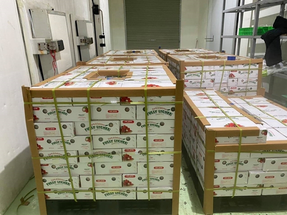 20 tons of Bac Giang lychee “fly” to Japan